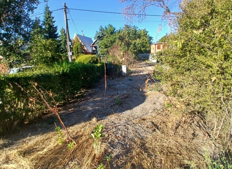 A plot for residential purposes in Vojka nad Dunajom, surrounded by greenery and shrubs.