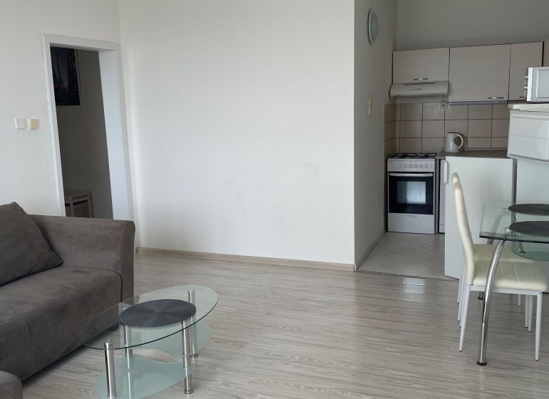 Studio apartment with a light wood-patterned floor, a sofa, and a glass table.