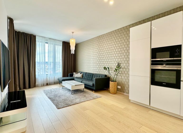 Living room in a two-room apartment with a wooden decor floor, gray sofa, and television.