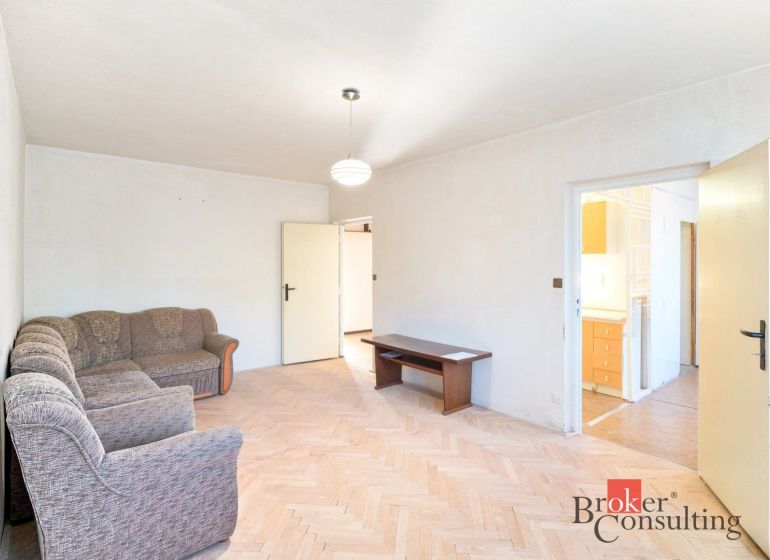 Living room in a 2-room apartment with a sofa and a wooden decor floor.