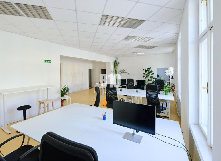 Spacious offices with white desks and plants, large windows letting in daylight.