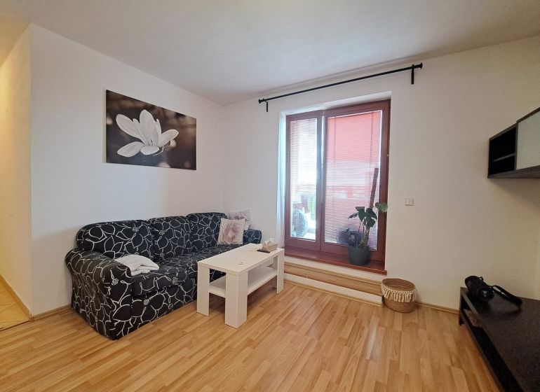 Living room in a two-room apartment with a sofa, a painting, and a wooden decor floor.