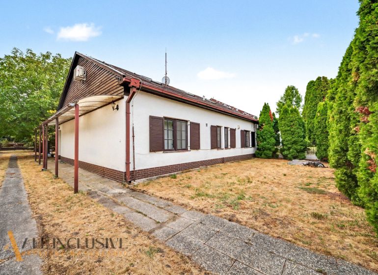 A family house in Lipové with a large garden and green thuja trees on the property.