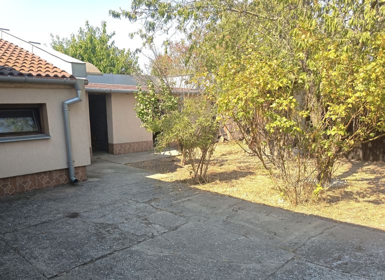 The courtyard of a family house in Nové Zámky with bushes and shrubs near the house.