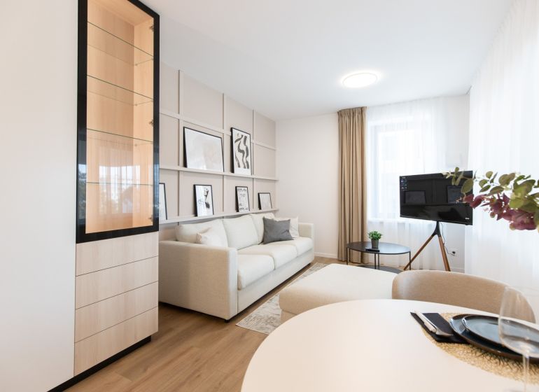 Living room with wood-patterned flooring, a sofa, artworks, and a television in a 2-room apartment.