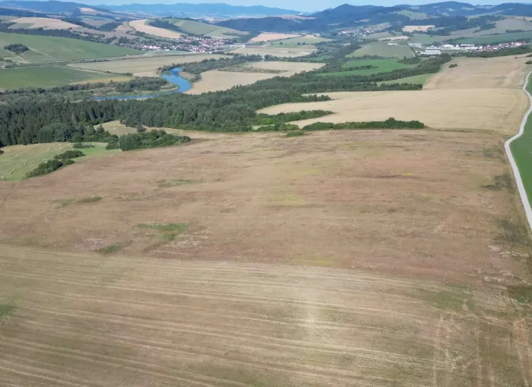 Vast agricultural and forest lands around Plaveč surrounded by rivers and forests.