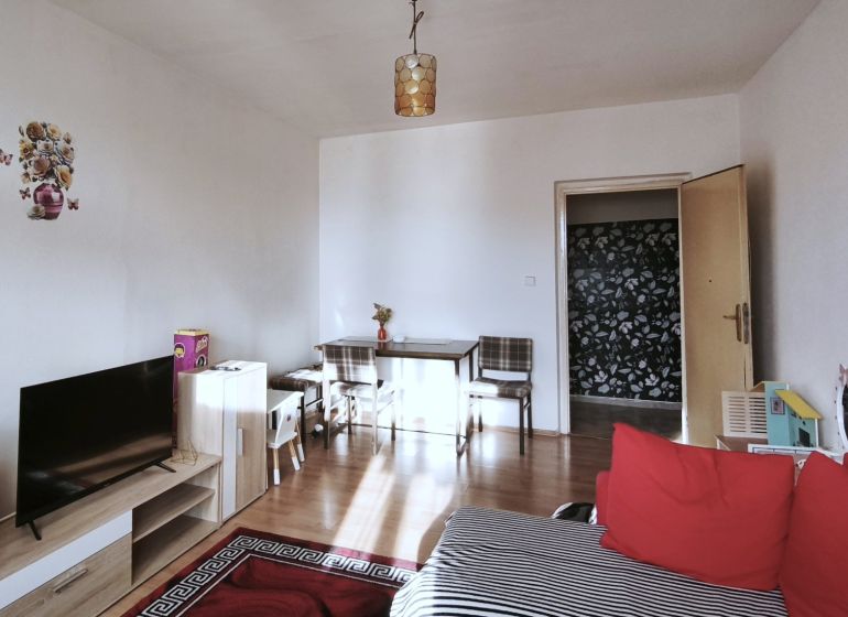 Living room in a two-room apartment with a sofa, table, and floor with a wooden decor.
