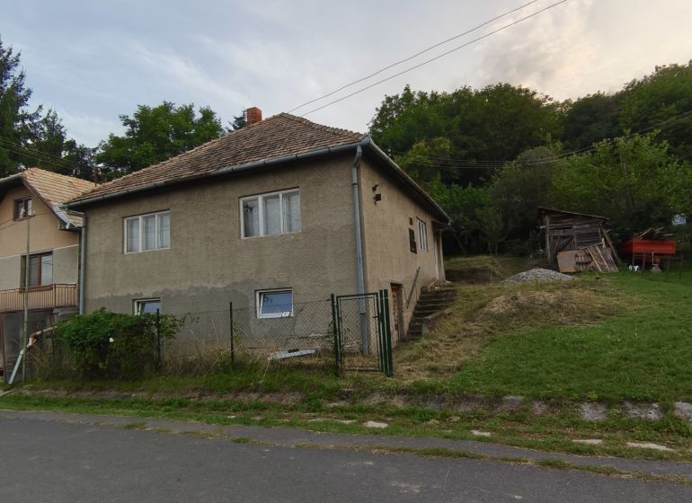 A family house in Olovary with a simple facade and a spacious plot near the forest.