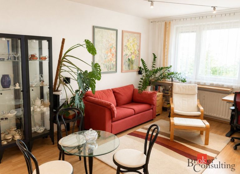 Living room in a two-room apartment with a red couch and plants.