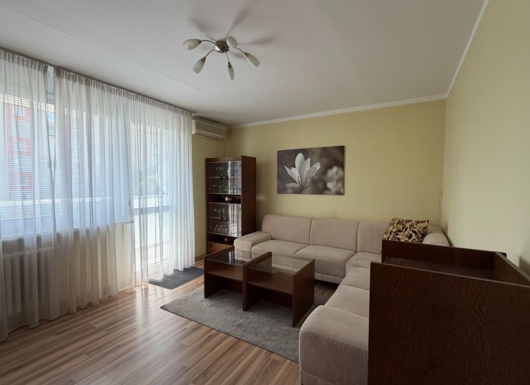 Living room in a 3-room apartment with a sofa and a wooden decor floor.