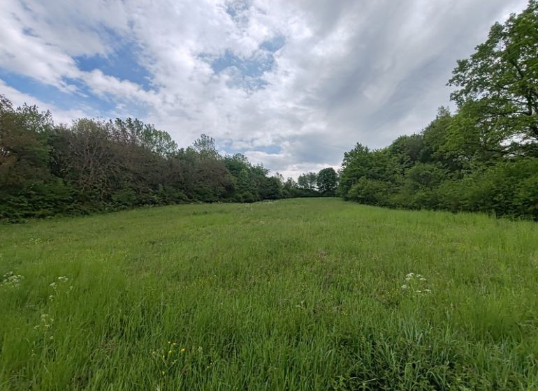 Plots - residential on Hlavná Street in Tovarnianska Polianka, suitable for construction.