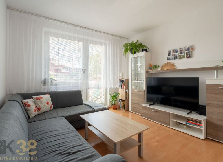 Living room in a 3-room apartment with a sofa, television, and wooden decor flooring.