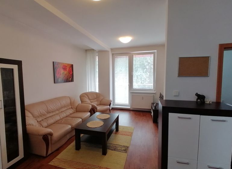 Living room in a two-room apartment with a wooden decor floor and a sofa.