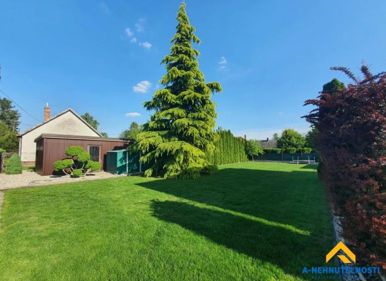 Garden with lawn and trees in Dolný Štál, a space suitable for residential plots.