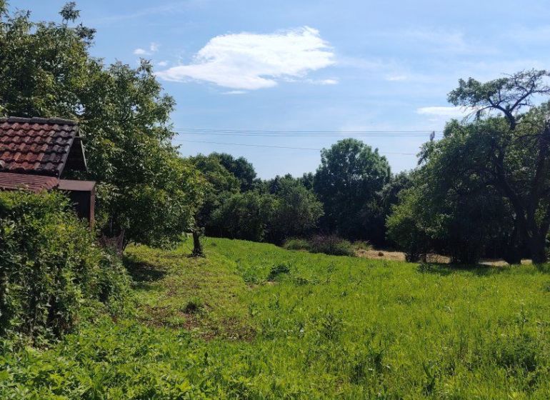 Green residential plots in Žehňa surrounded by trees and blue skies.