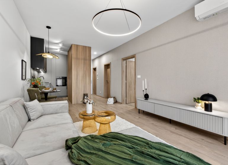 Living room in a two-room apartment with a wooden decor floor and comfortable seating.