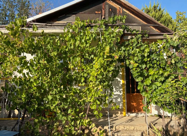 The cottage in the bank is covered with greenery and vine, the door is on a small wall.