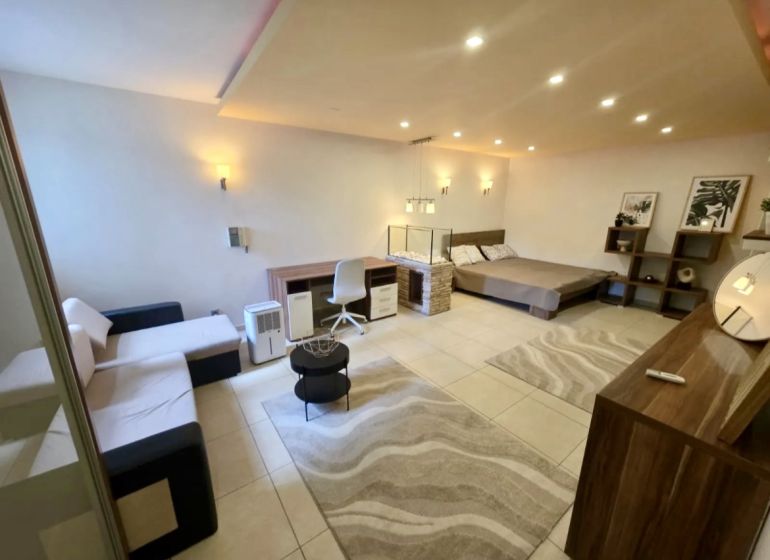 1-bedroom apartment with a bed, sofa, carpet, and lighting, flooring with a wooden decor.