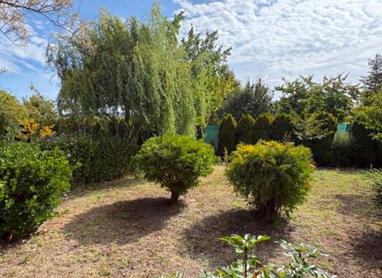Gardens in Komárno with rich green vegetation, including trees and shrubs.