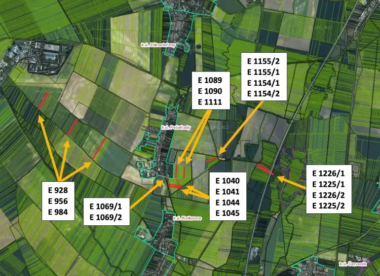 Map of agricultural and forest lands Pečeňady with parcel numbers.