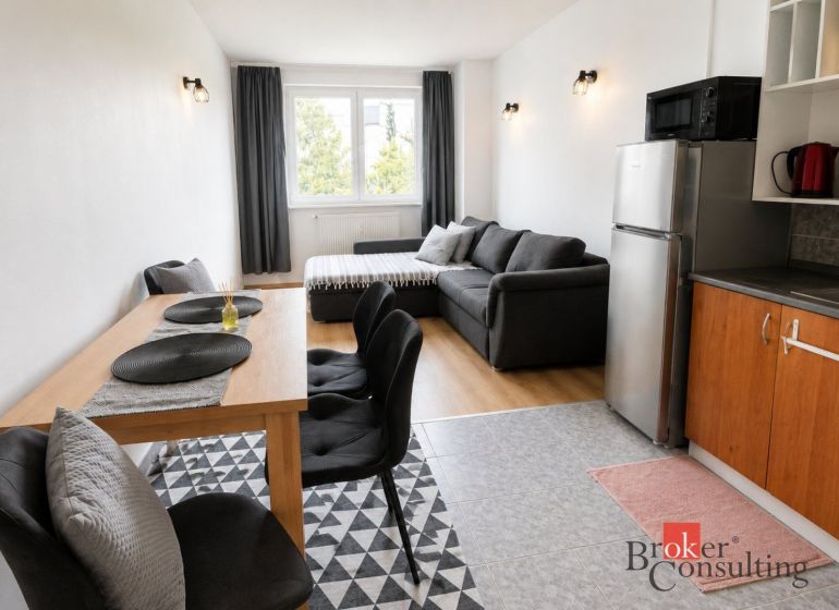 Living room in a two-room apartment with a sofa and a wooden decor floor.