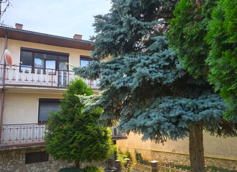 A family house in Jelenec with a balcony surrounded by greenery and coniferous trees.