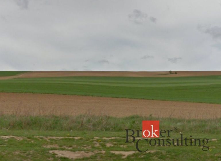 Vast green fields in Lužianky, suitable for residential plots.