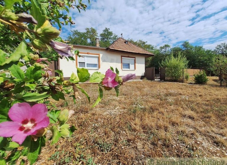 A family house in Kamenica nad Hronom, surrounded by flowers and dry grass on the property.
