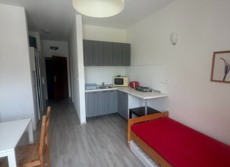 A studio apartment with a wooden floor and a kitchenette, includes a dining and sleeping area.