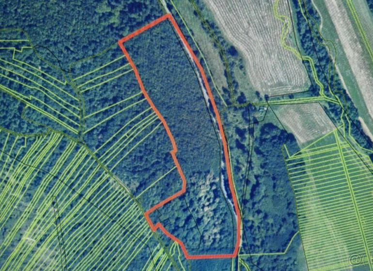 Agricultural and forest lands in Dolné Strháre, delineated by a red line on the map.