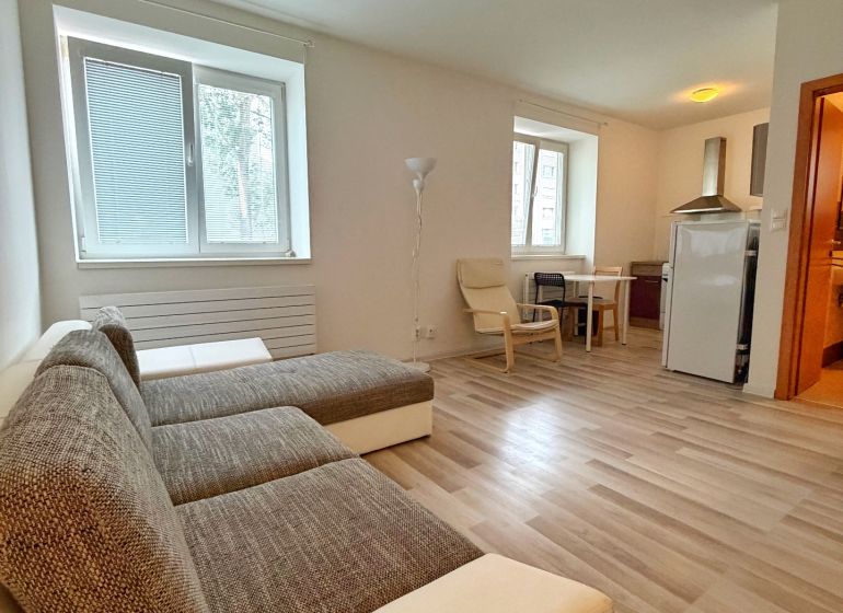 A studio apartment with wood-patterned flooring, a sofa, a table, and a kitchenette.
