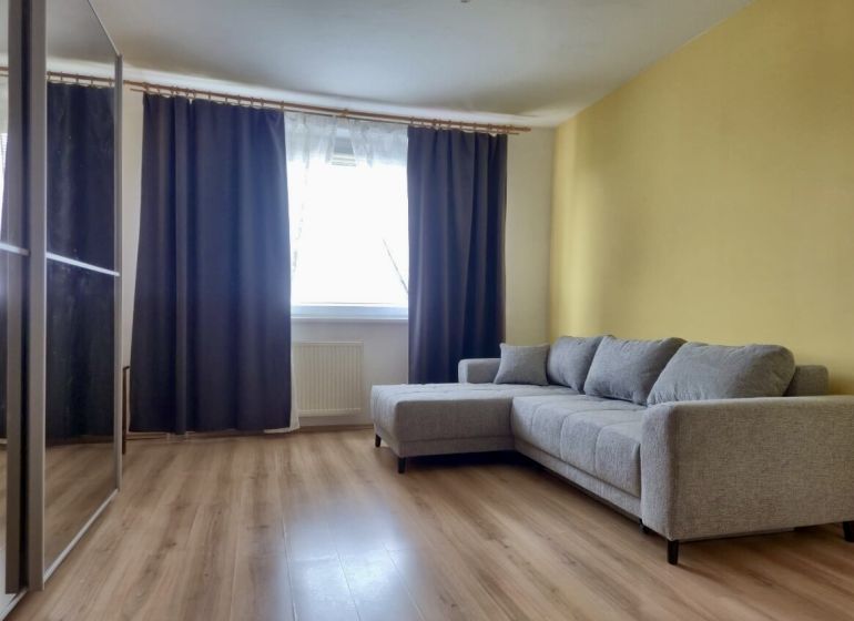 Bright living room with wood-patterned flooring and a gray sofa in a three-room apartment.