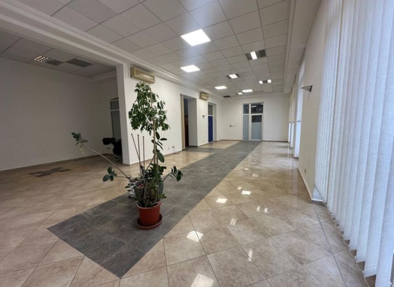 Spacious commercial spaces with tiles and a houseplant.