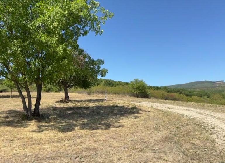 Agricultural and forest land on Kučišdorfská Street in Pezinok, trees and grass.
