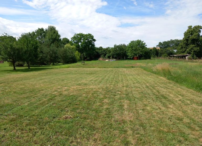 Spacious residential plots in Beladice with grassy areas and trees.