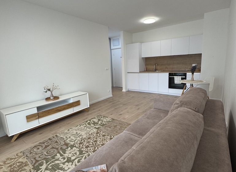 Living room in a studio apartment with a kitchenette and a wooden decor floor.