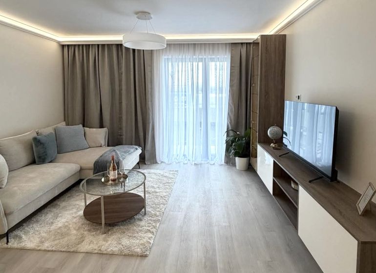 Living room in a two-room apartment with a wooden decor floor, a sofa, and a television.