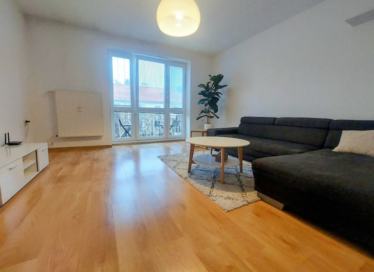 Living room with wood-patterned flooring, a sofa, and a coffee table in a two-room apartment.
