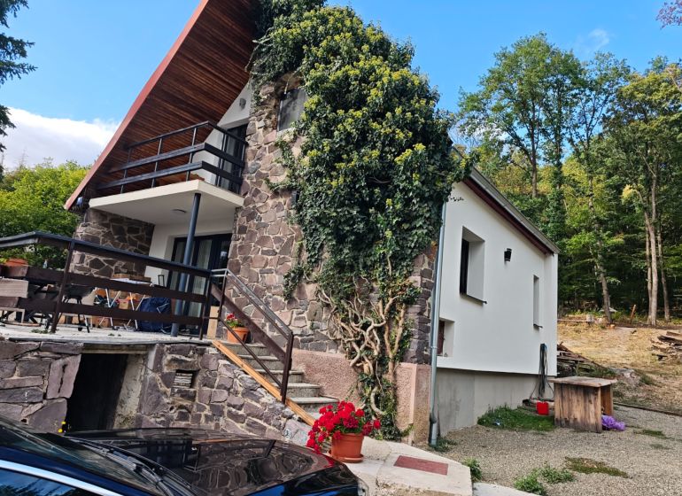 A cottage on Kamenec in Kaluža with a stone facade and a terrace surrounded by greenery.