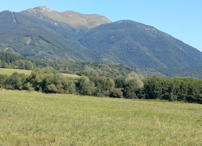 Recreational plots in Turany with a view of beautiful green mountains and forests.