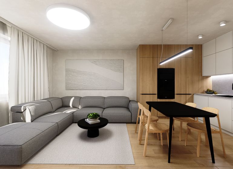 Living room in a two-room apartment with a comfortable sofa and a dining table.