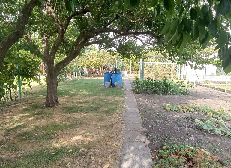 Gardens in Nesvady full of trees and vegetable beds located behind the fence.