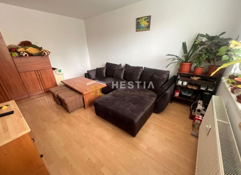 Living room in a three-room apartment with a sofa, coffee table, and wooden decor flooring.