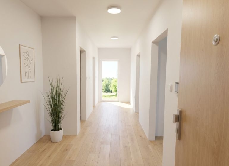 A hallway in a 3-room apartment with a wood-patterned floor, a mirror, and a plant.