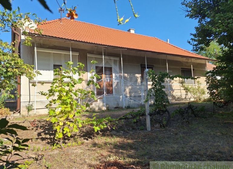 A family house in Moča with a red roof and a garden full of vines.