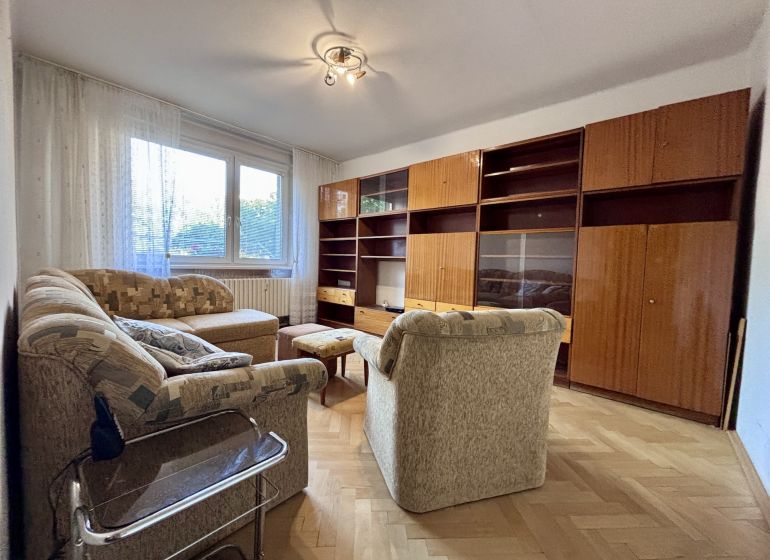 Living room with furniture and wood-patterned flooring in a two-room apartment.