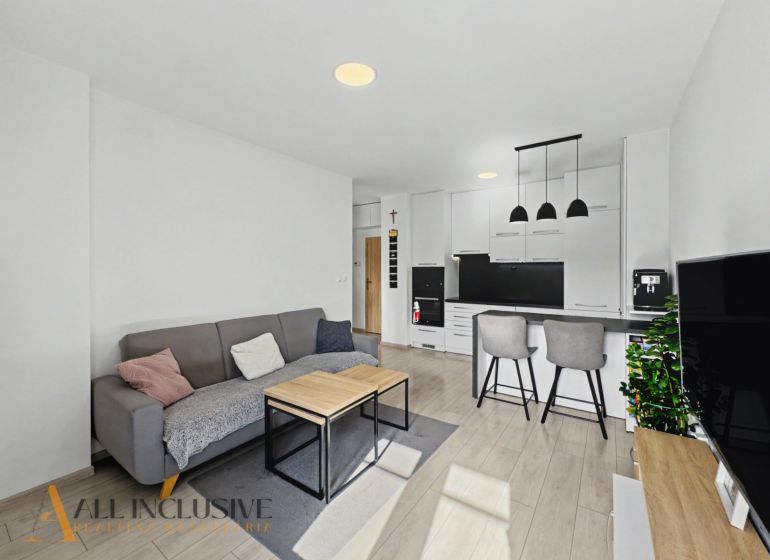 Living room with wood-patterned flooring and a kitchenette in a two-room apartment.