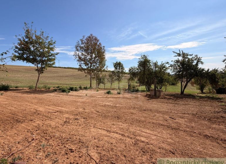 Trees and fields on a property in the village, ideal for living and relaxation.