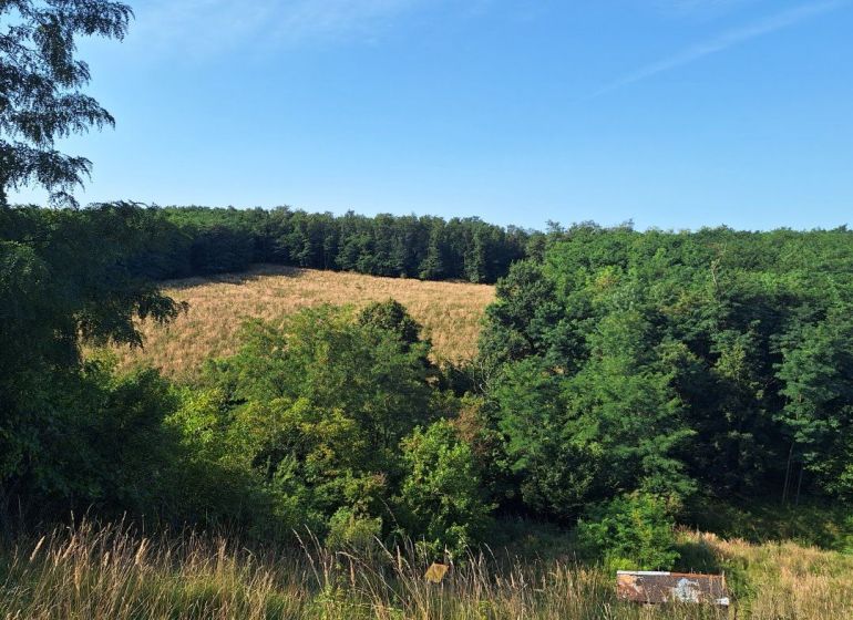 Beautiful view of nature and cottages in the Stupava area, suitable for residential plots.