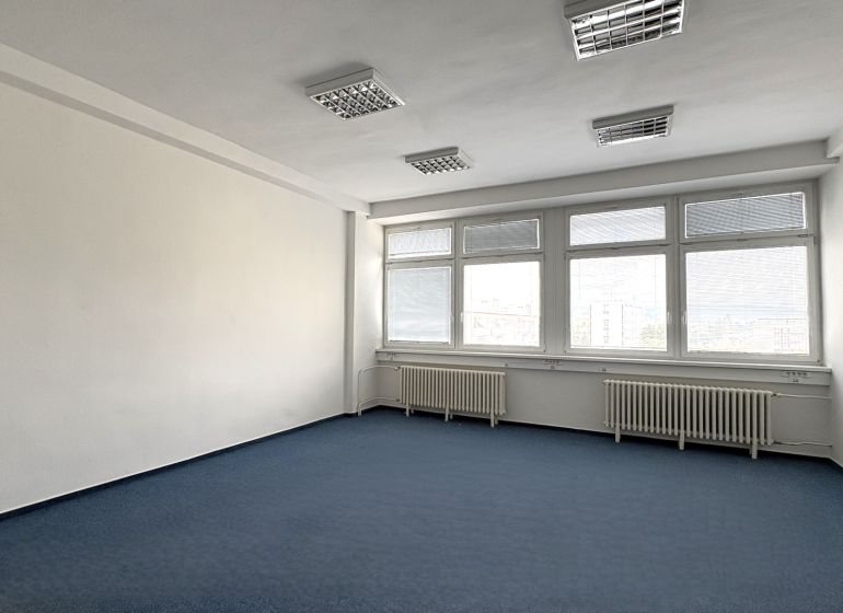 Offices with blue carpet, white walls, and large windows available for rent.